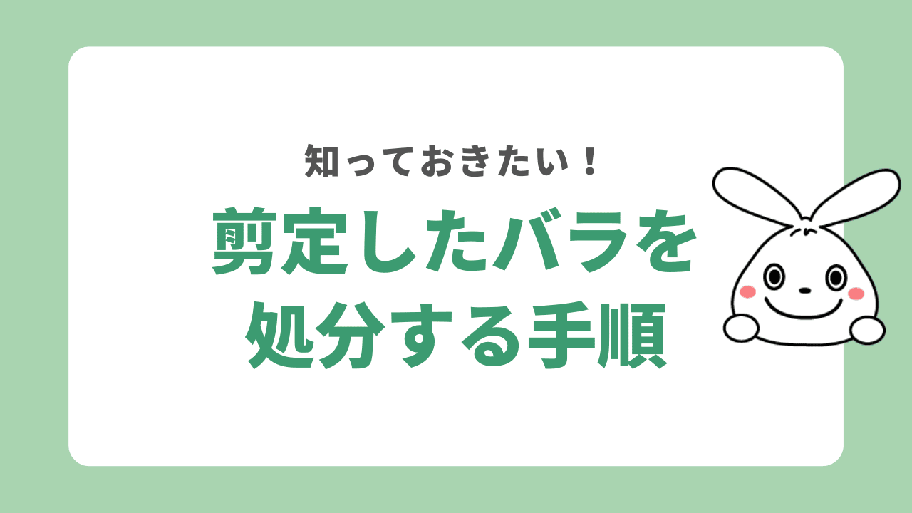 剪定したバラを処分する手順