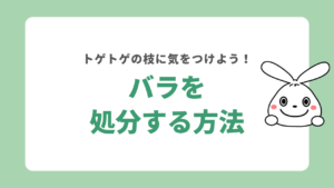 バラを処分する方法